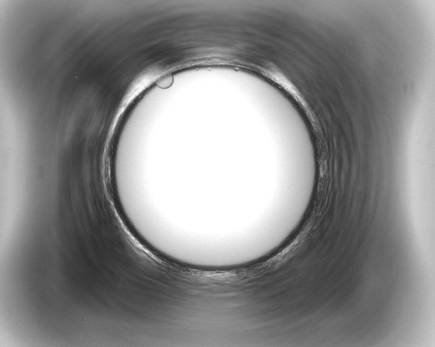 X0000084521466200703161538