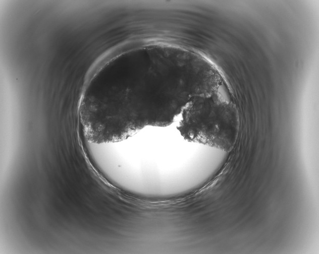 X0000084521467200703161538