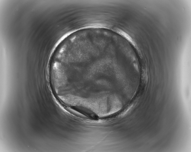 X0000084521468200703161538