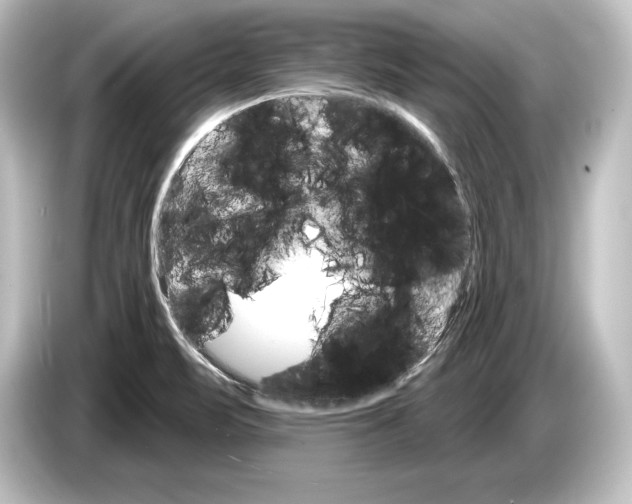 X0000084521471200703161538