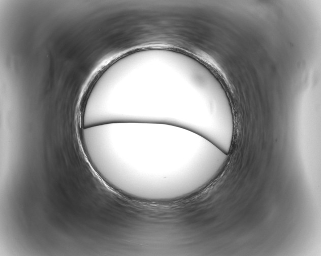 X0000084521472200703161538