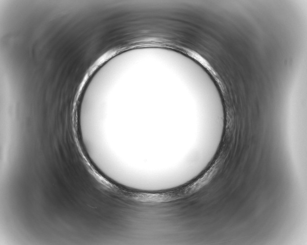 X0000084521474200703161538