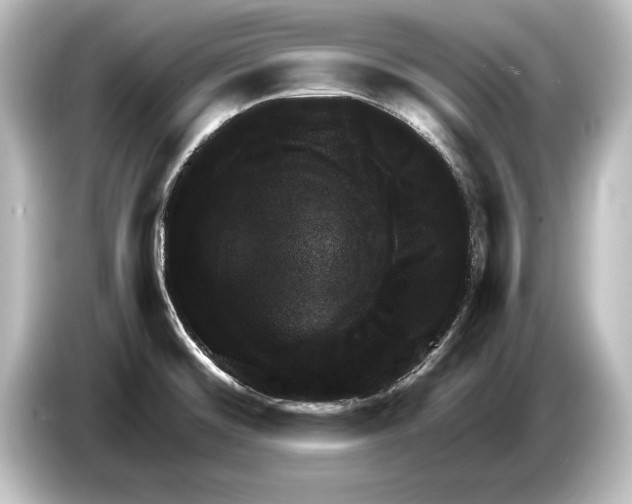 X0000084521476200703161538