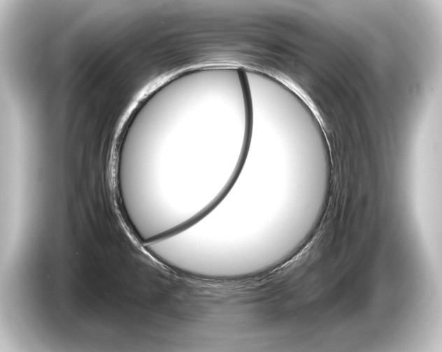 X0000084521477200703161538