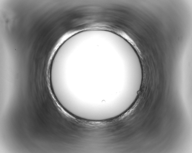 X0000084521478200703161538