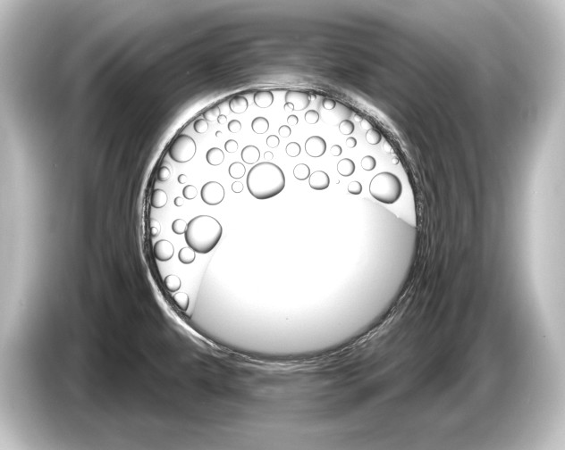 X0000084521479200703161538