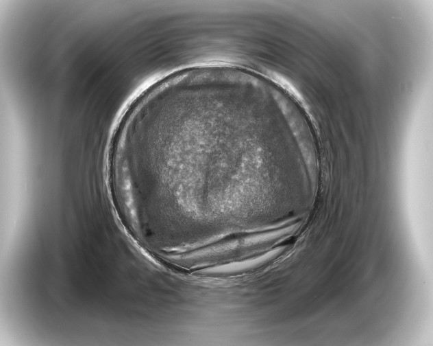 X0000084521480200703161538