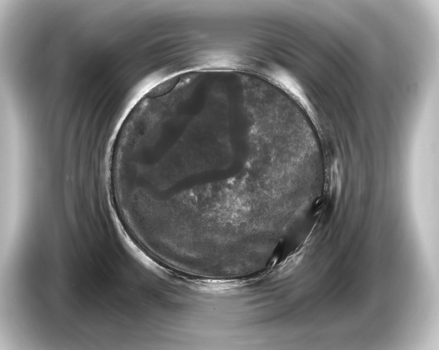 X0000084521483200703161538