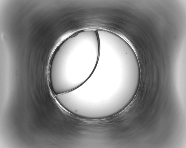 X0000084521485200703161538