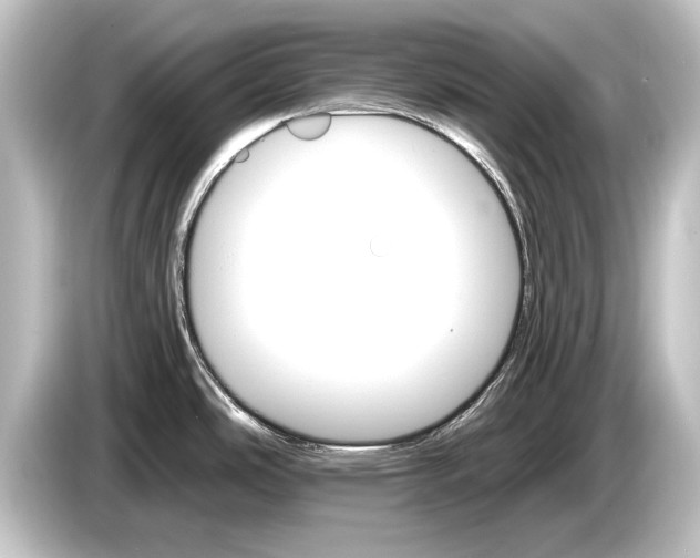 X0000084521486200703161538