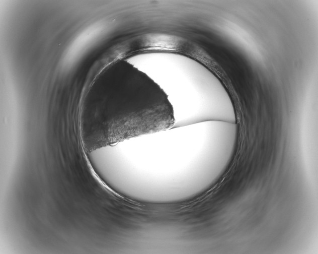 X0000084521487200703161538