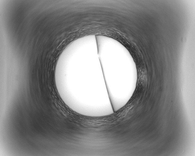 X0000084521489200703161537