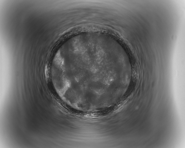 X0000084521490200703161537