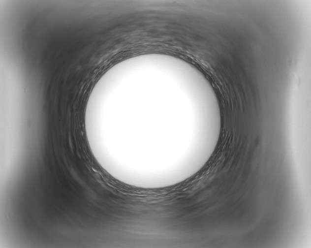 X0000084521492200703161537