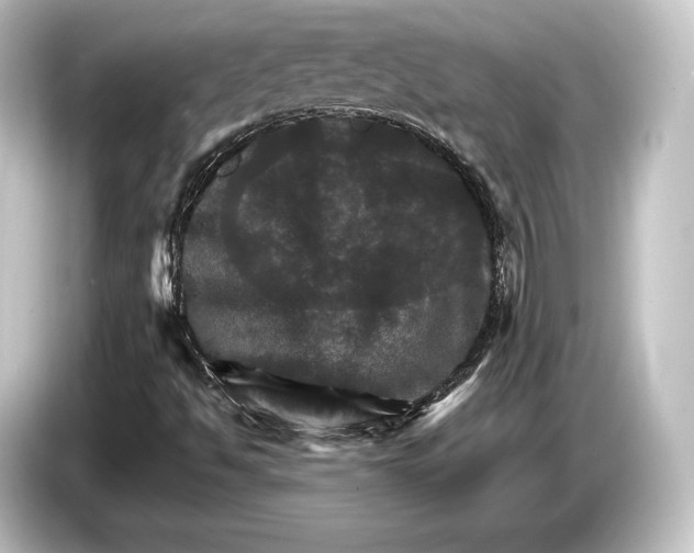 X0000084521494200703161537