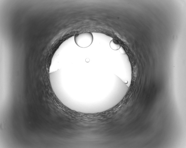 X0000084521495200703161537