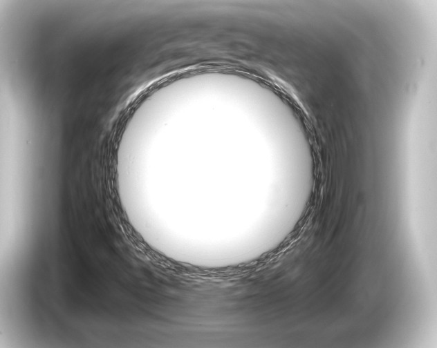 X0000084521496200703161537