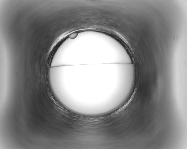 X0000084521501200703161537