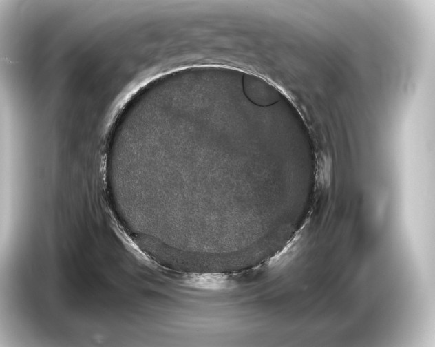 X0000084521503200703161537