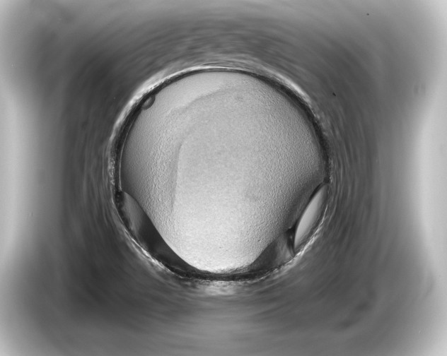 X0000084521506200703161537