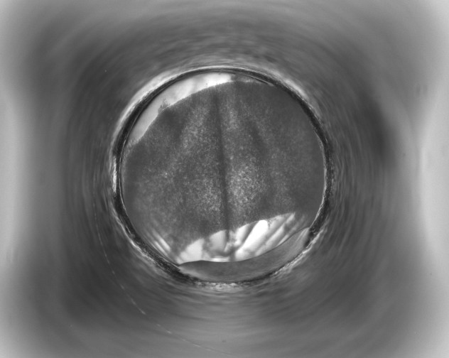 X0000084521509200703161537