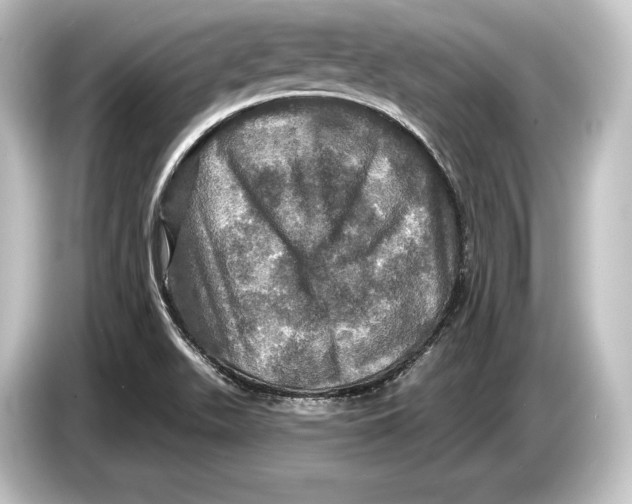 X0000084521511200703161537