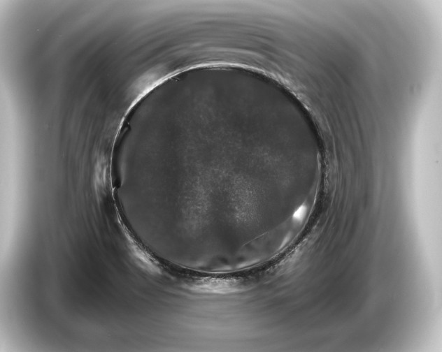 X0000084521513200703161537