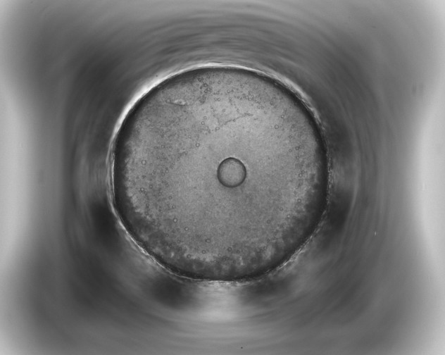 X0000084521514200703161537