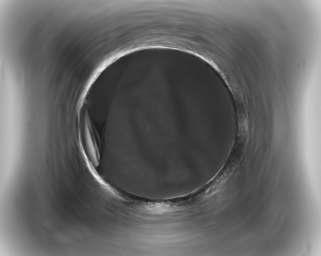 X0000084521515200703161537