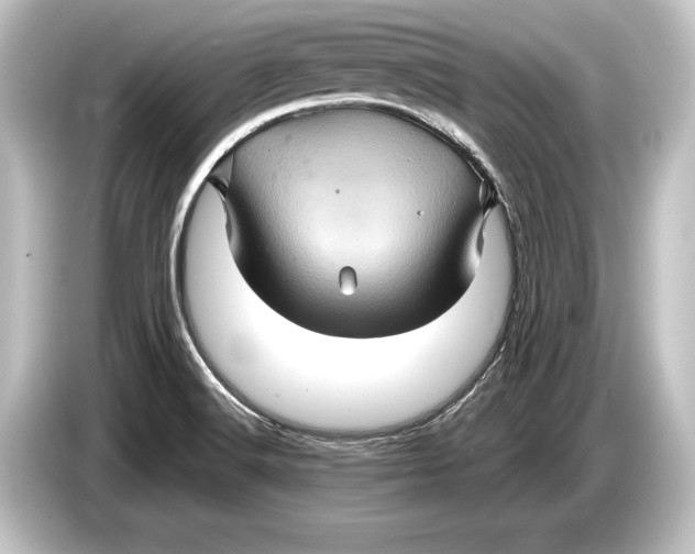 X0000084521516200703161537