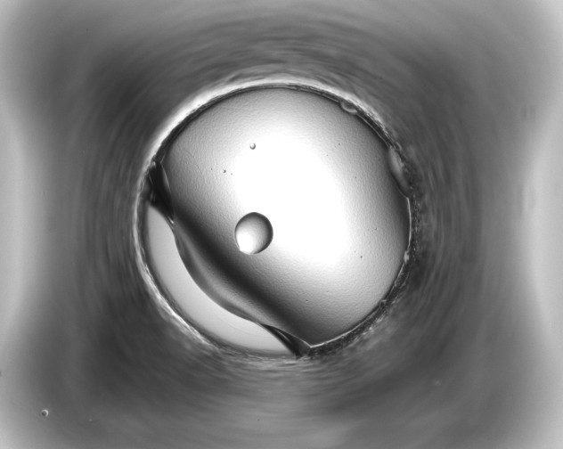 X0000084521518200703161537