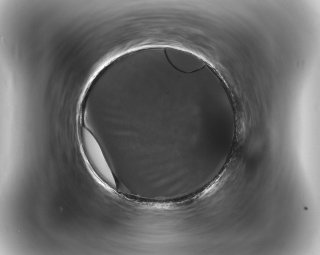 X0000084521519200703161537