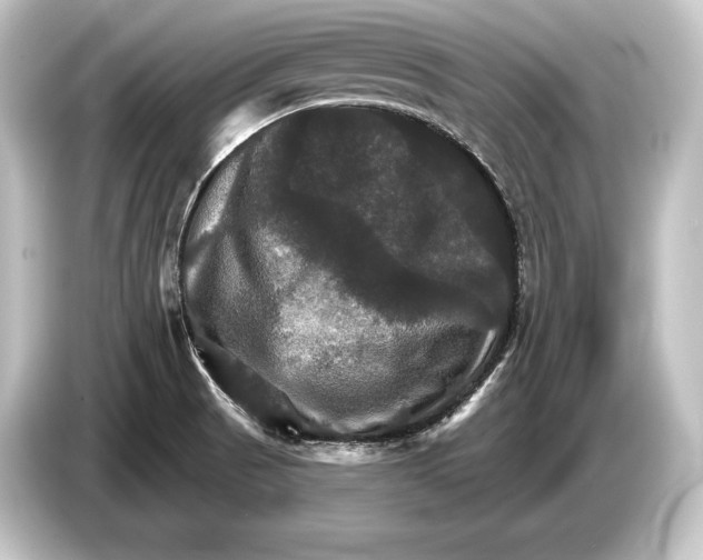 X0000084521521200703161537