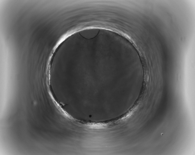 X0000084521522200703161537