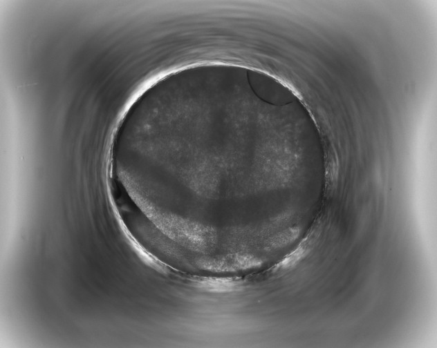 X0000084521523200703161537