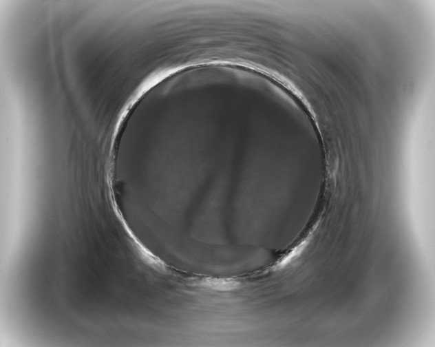 X0000084521525200703161537