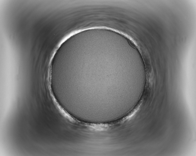 X0000084521526200703161537