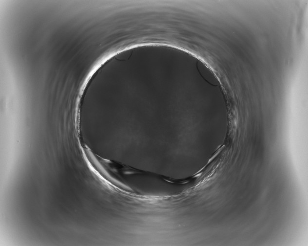 X0000084521527200703161537