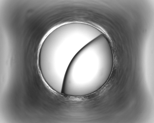 X0000084521528200703161537