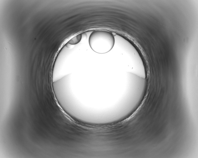 X0000084521529200703161537