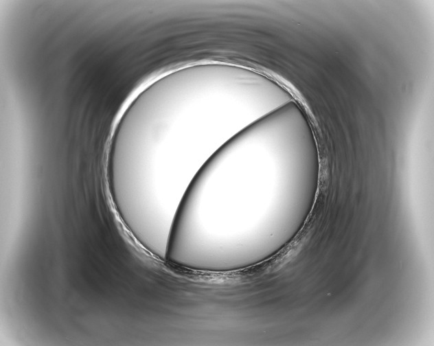 X0000084521530200703161537