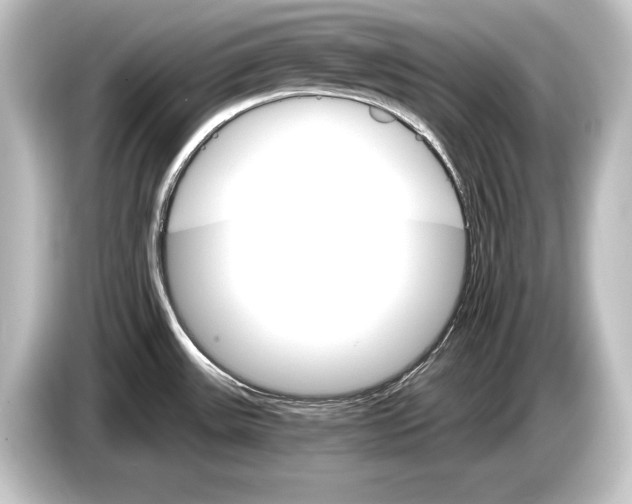 X0000084521531200703161537