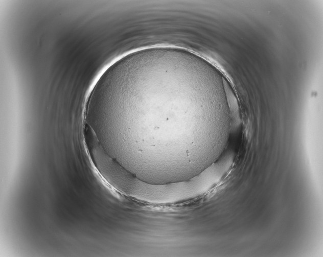 X0000084521532200703161537