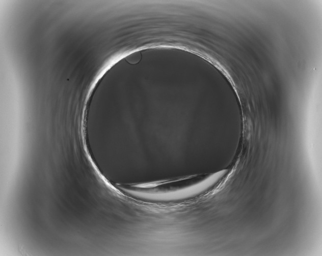 X0000084521533200703161537