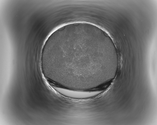 X0000084521534200703161537