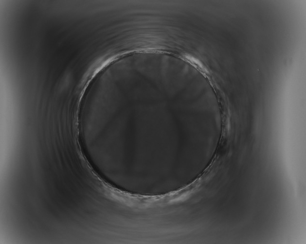X0000084520002200703231641