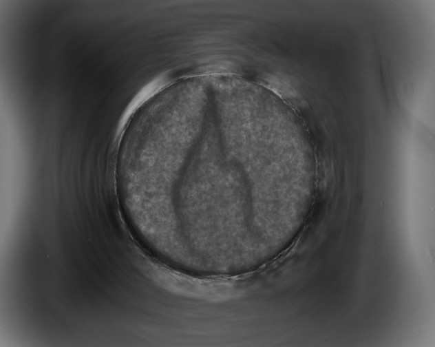 X0000084520004200703231641