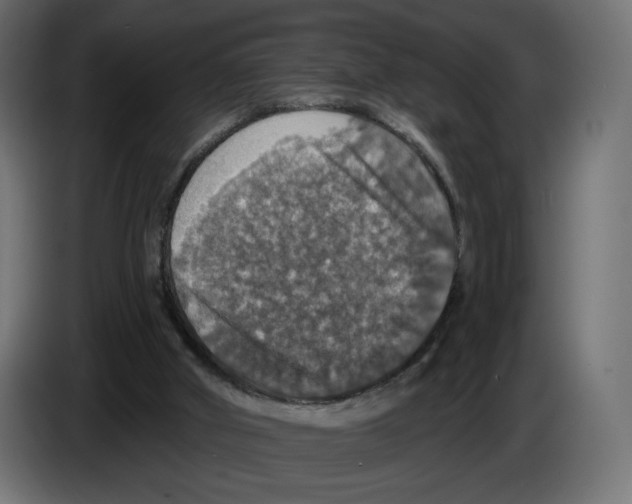 X0000084520010200703231640