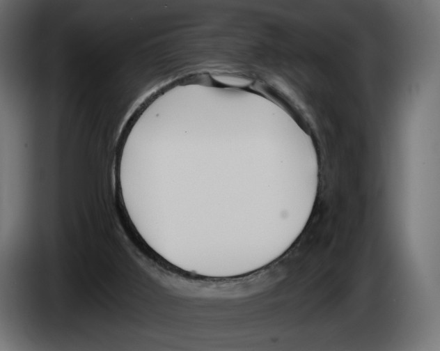 X0000084520011200703231640