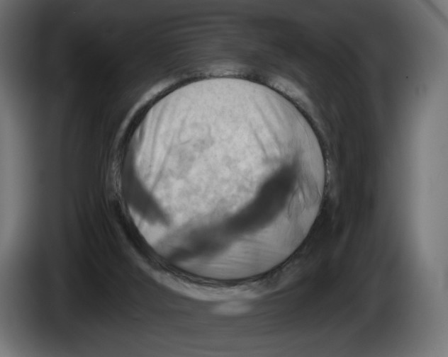 X0000084520012200703231640